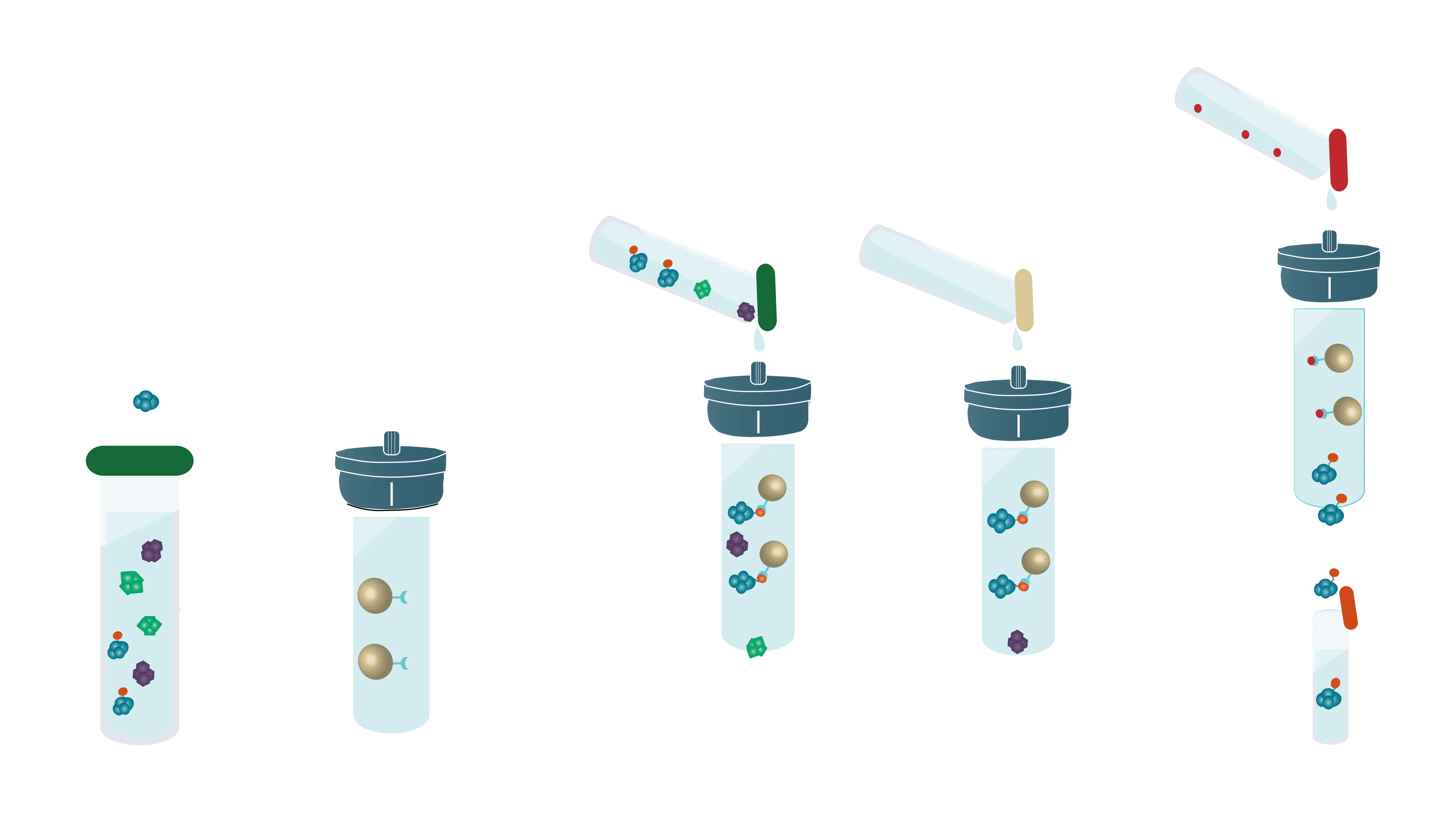 Affinity Chromatography Principles